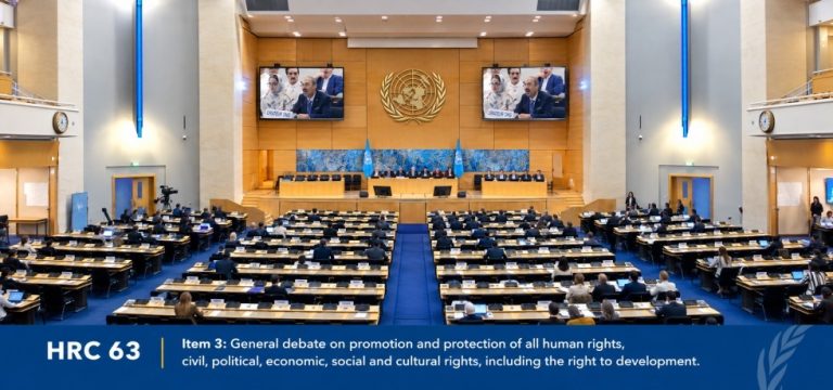 Salle plénière du Conseil des droits de l'homme de l'ONU à Genève pendant le débat général au titre du point 3 de la 63e session